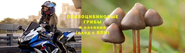 ПСИЛОЦИБИНОВЫЕ ГРИБЫ Абаза
