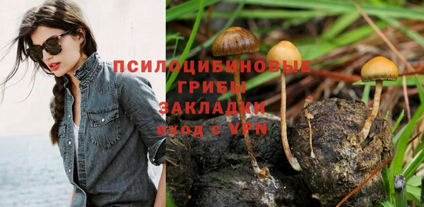 гидропоника Абинск