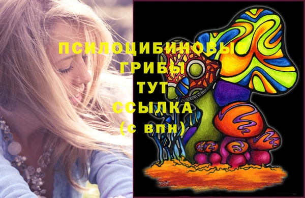гидропоника Абинск
