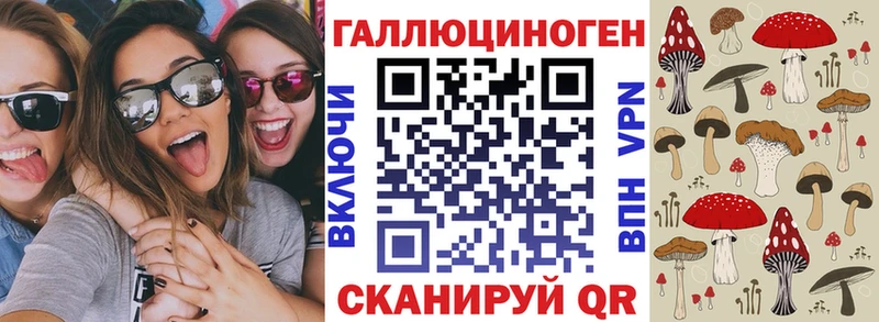 Галлюциногенные грибы Psilocybe сколько стоит Катав-Ивановск